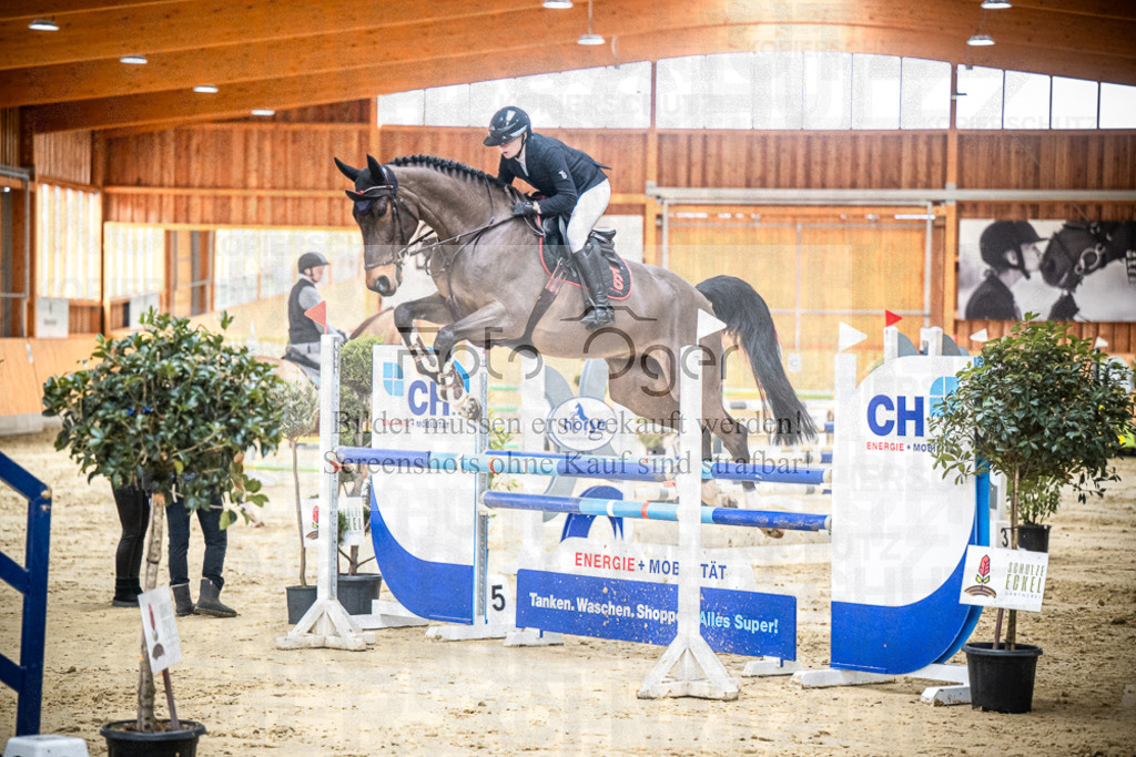 DOS_0601 | Entdecke hochwertige Reitturnierfotos von Foto Oger. Professionell, emotional und authentisch – jetzt Lieblingsmomente im Shop bestellen.Deutschlandweite Turnierfotografie. - Realisiert mit Pictrs.com
