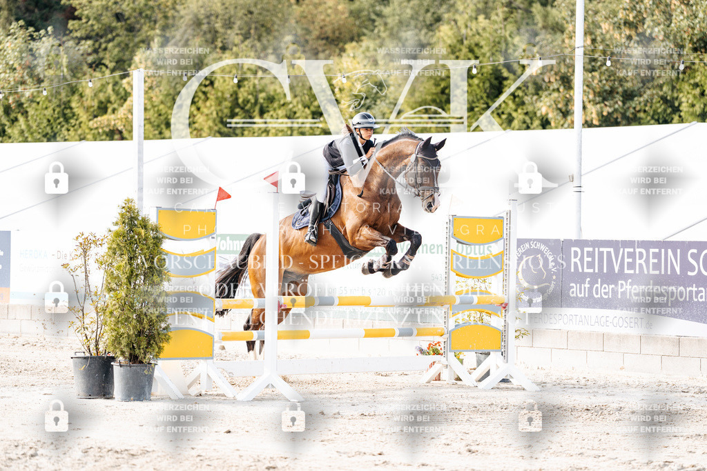 CK906370 | Turnierfotografie Pferdefotografie Trier Rheinland-Pfalz Pferdesport Reitsport Tierfotografie Sportfotografie Pferdevideo Pferdevideografie Equestrianvideography equestrianphotography  - Realisiert mit Pictrs.com