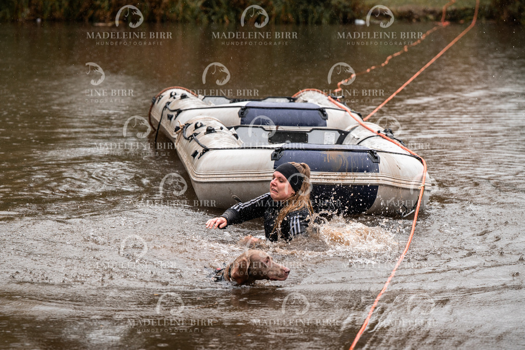 madeleinebirr-fotografie2025.campcanis.11-12Uhr-357 | hundefotografie-birr