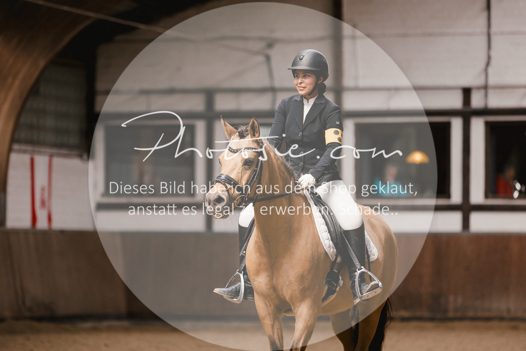 3I6A7612 | Stimmungsvolle Portraits und Reitsportfotografie im Ruhrgebiet und im Münsterland.

Pferdefotografie, Hundefotografie, Tierfotografie, Reportagen, Portraits von Tier und Mensch, Turnierfotografie in Bochum, Recklinghausen, Marl, Haltern am See, Dülmen.. - Realisiert mit Pictrs.com