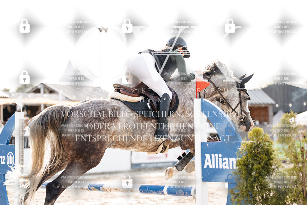 CK906604 | Turnierfotografie Pferdefotografie Trier Rheinland-Pfalz Pferdesport Reitsport Tierfotografie Sportfotografie Pferdevideo Pferdevideografie Equestrianvideography equestrianphotography  - Realisiert mit Pictrs.com