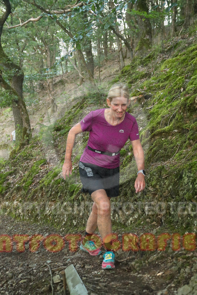 230804_1906_EX2_8149 | Eventfotografie 24
Sport- und Eventfotografie