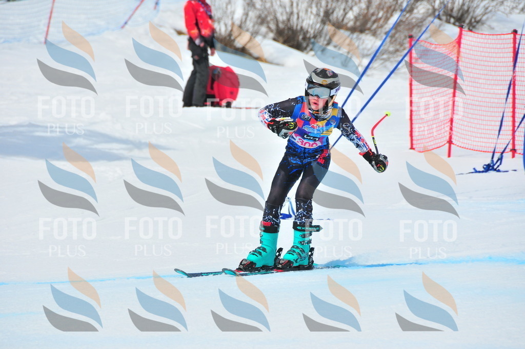 DSC_6615 | holidayphoto