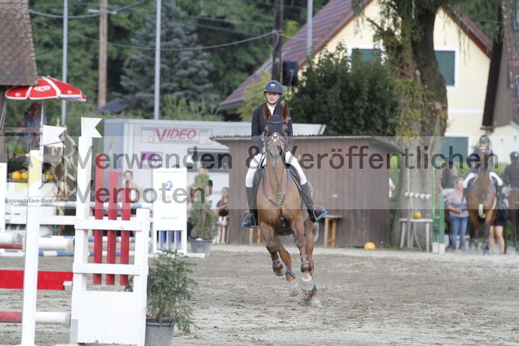 _MG_3778 | equestrian-live-com