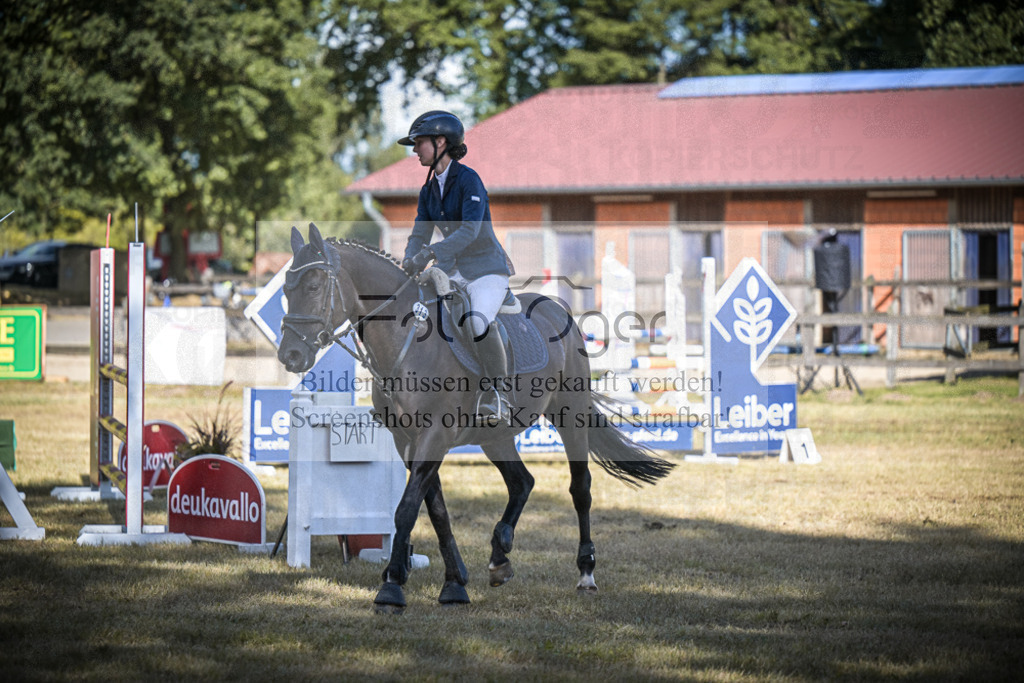 DOS_1457 | Entdecke hochwertige Reitturnierfotos von Foto Oger. Professionell, emotional und authentisch – jetzt Lieblingsmomente im Shop bestellen.Deutschlandweite Turnierfotografie. - Realisiert mit Pictrs.com