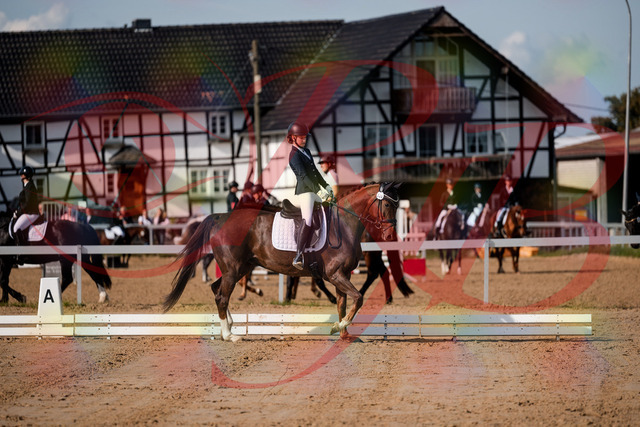 2026_10_03_Siefer-Hof_114741_Z63_26874943 | Professionelle Reitsport-, Turnier- und Eventfotografie von Robert Broda. Galerien mit ausgewählten und bearbeiteten Bildern direkt online ansehen und bestellen.