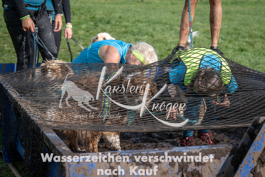 1617_ZZ92230 | kk-dogfotos