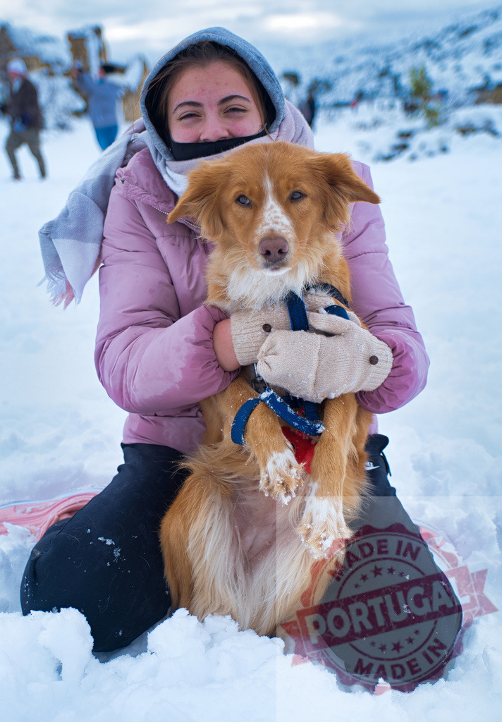 Young woman embracing dog wearing winter clothes in snow | Woman and dog enjoying a winter day outdoors, sharing friendship and togetherness - Realisiert mit Pictrs.com