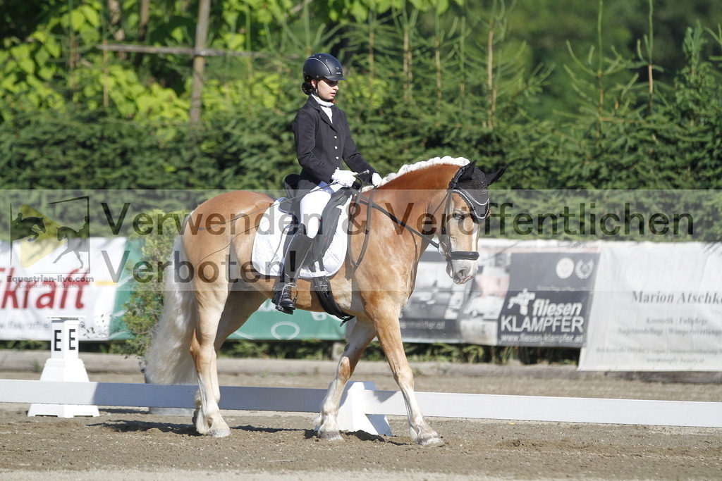 _MG_0492 | equestrian-live-com