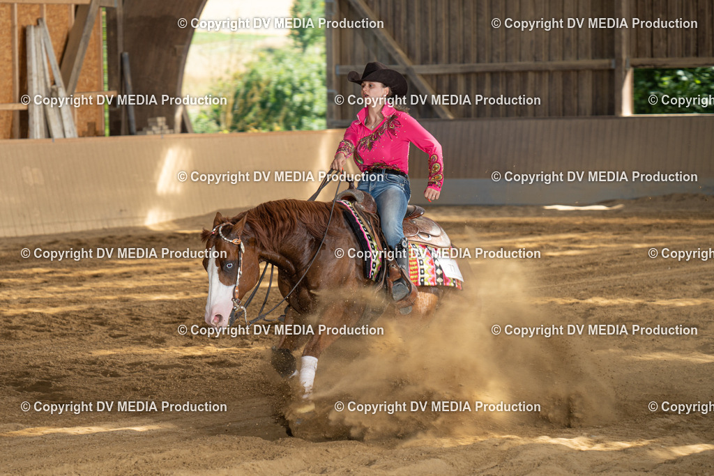 DSC00431 | dv-media-shop - Realisiert mit Pictrs.com