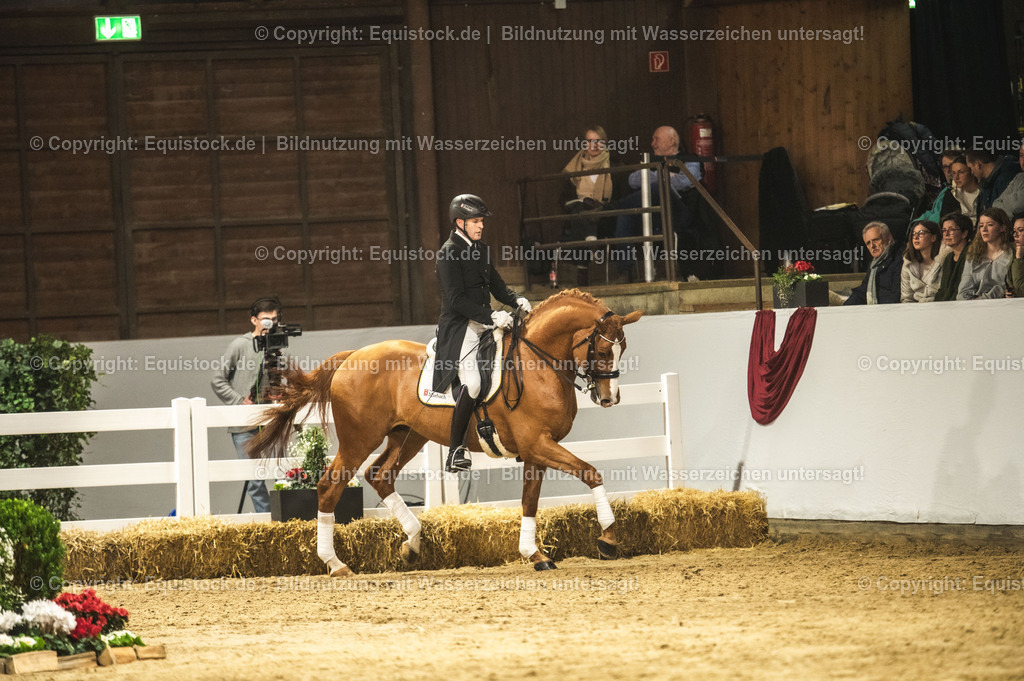 20240302_Hengstvorstellung_Marbach_TOMsPiC_0877-2 | equistock