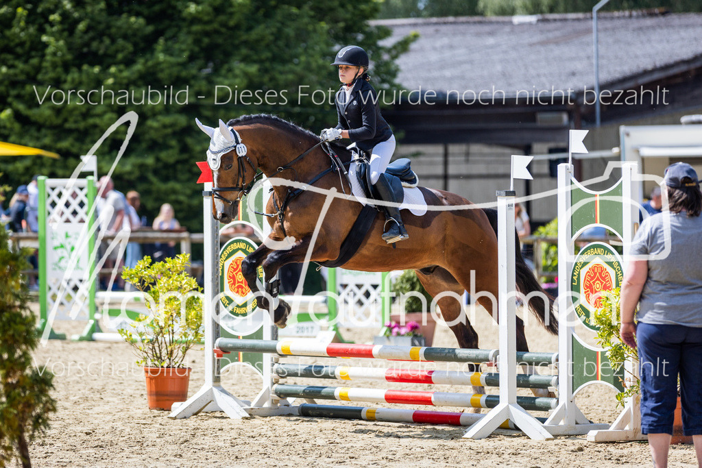 Donop24-SprRW-038 | MomenTaufnahmen Pferdesportfotos
