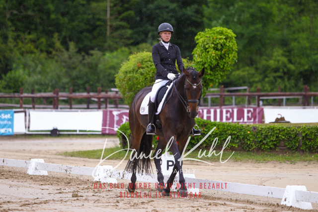 DKP47119 | Turniersportfotografie; Pferdefotografie; Dressurfotografie