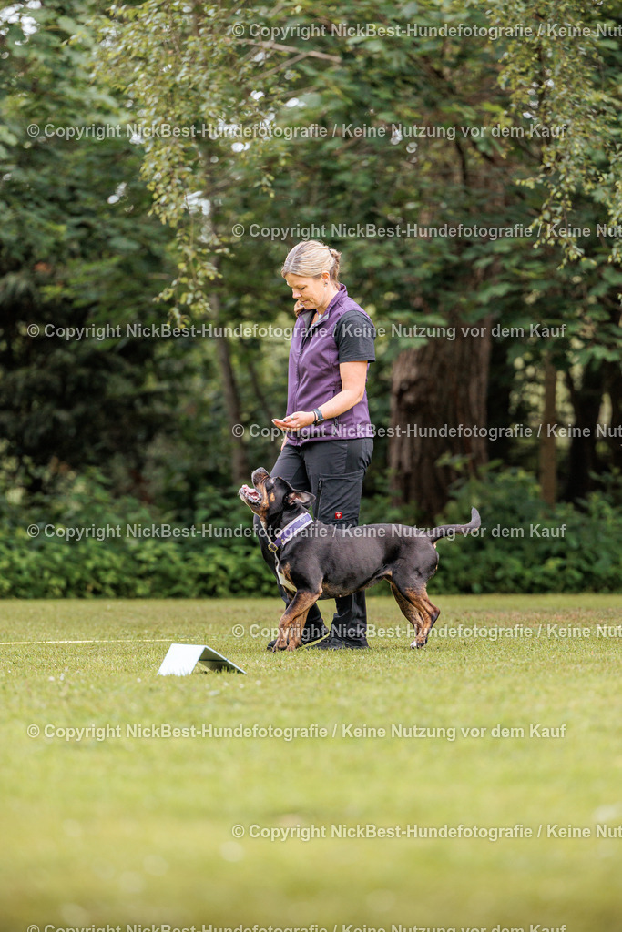 RO-Blumenthal-2026-Nickbest-Hundefotografie-1689 | Dein Hund! Dein Moment! Deine Erinnerungen! Hundefotografie in Bremen Blumenthal. Ich fange die besonderen Momente deines Vierbeiners ein – ob Indoor mit Blitzanlage oder in der freien Natur. Sicher dir dein Moment und dein Termin für eure Erinnerungen.