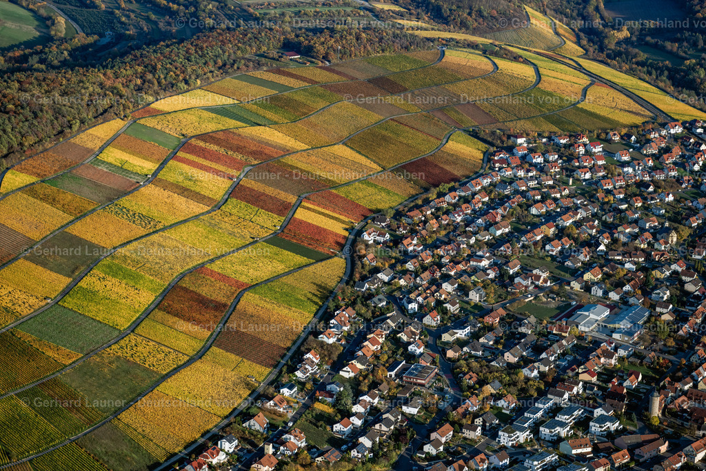 4042320 | Weinbergslandschaft an der Mainschleife bei Escherndorf und Nordheim