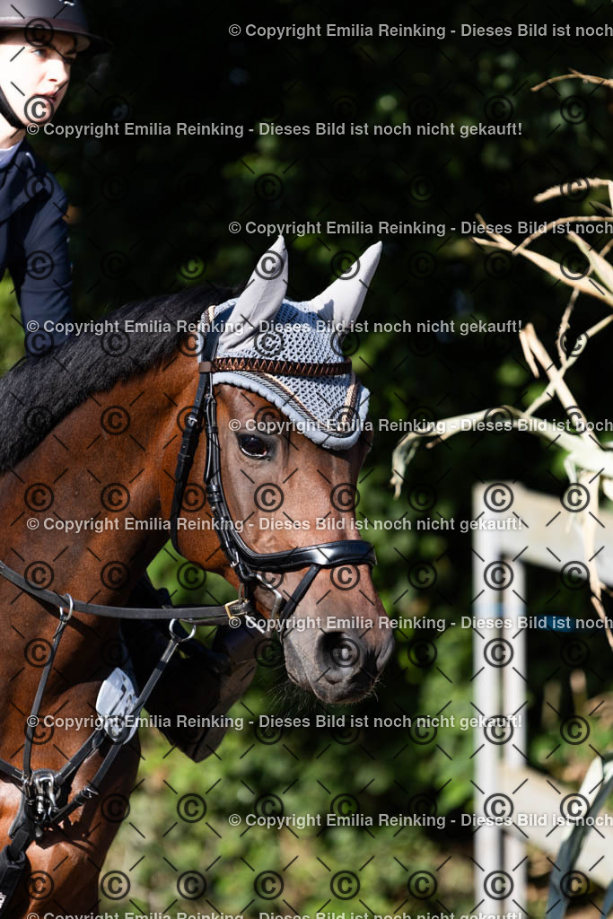 CL5A3380 | Emilia Reinking Fotografie - Realisiert mit Pictrs.com