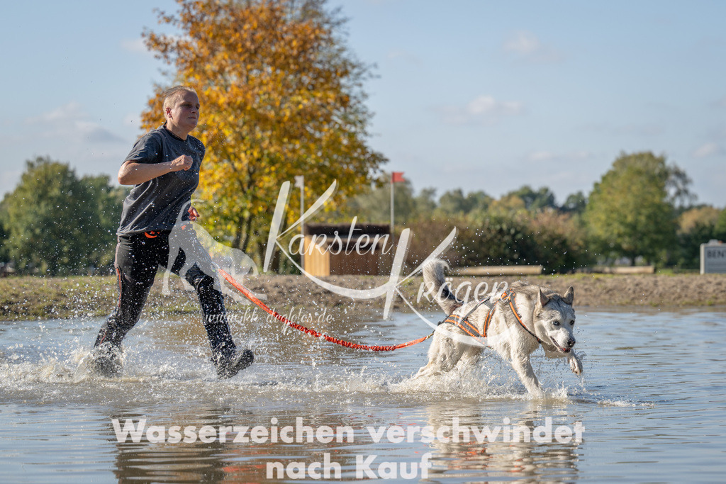 1351_ZZ91495 | kk-dogfotos