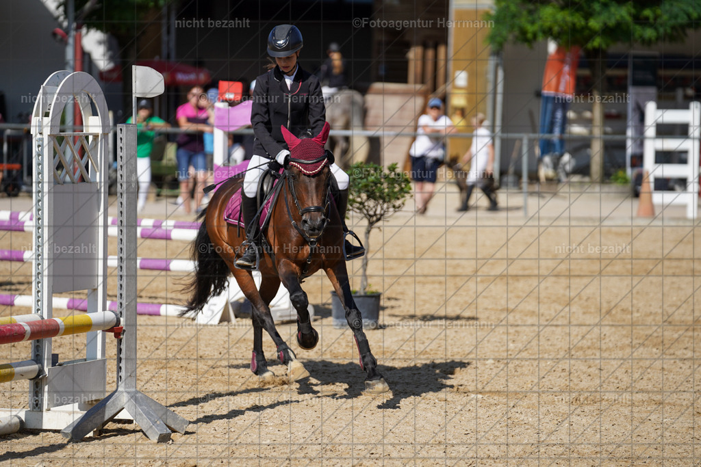 20240824-FAH07415 | Thierhaupten 2024, Bayerisches Landesponyturnier, Turnierbilder, Ponybilder, Turnierfotografen Bayern, Fotoagentur Herrmann
