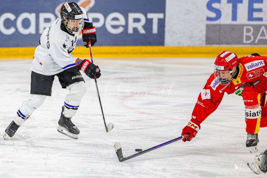 EHCB Spirit vs HCFG_wb-8142 | Sportbilder, Sportfotograf, Hochzeits- und Eventfotografin, Flugshows, Portraits und Tiershooting, Aviation, Downhill, Nationalleague, Swissleague, International