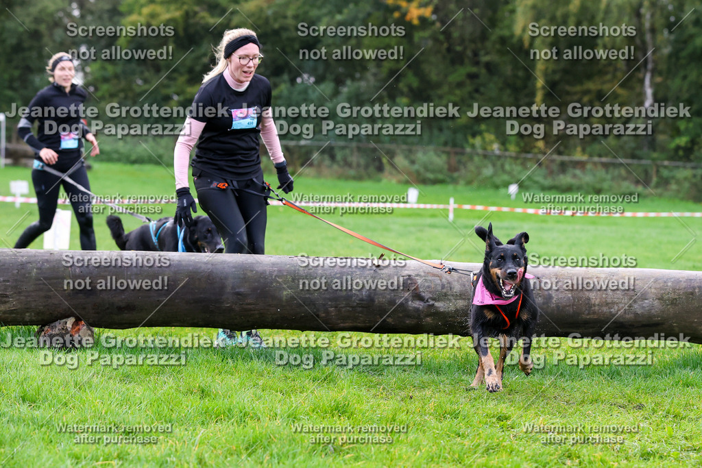 Dog Paparazzi -  SD1026-976 | Dog Paparazzi Jeanette Grottendiek Fotografie & Videografie - Realisiert mit Pictrs.com
