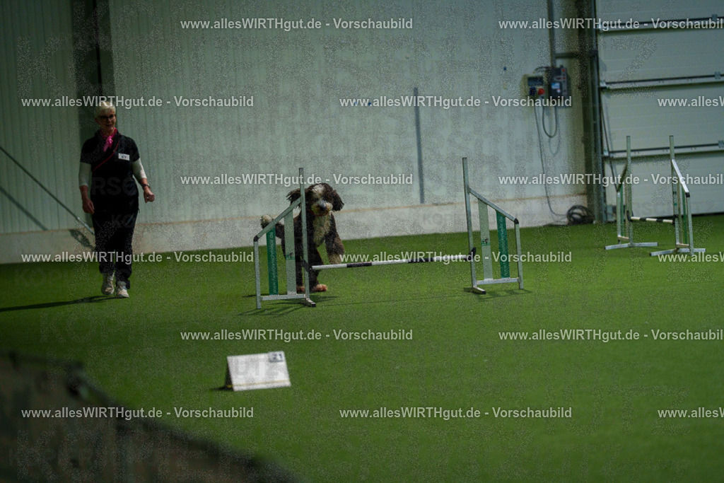 7R508088 | Professionelle Tierfotografie in Mönchengladbach von Daniel Wirth (allesWIRTHgut). Liebevolle & natürliche Bilder von Hunden & Katzen für unvergessliche Erinnerungen.