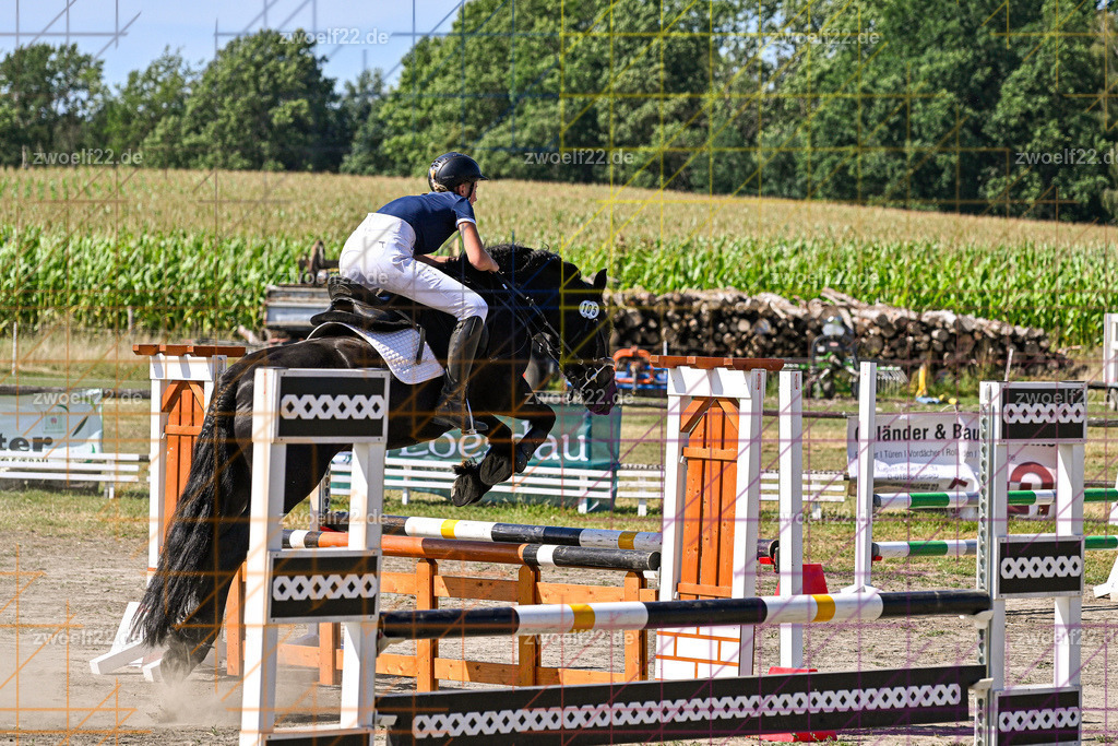 30 Jahre RFV Pulsnitz e.V., Pulsnitz am 09.08.2026 | Zur 28. breitensportlichen Veranstaltung des RFV Pulsnitz e.V. fanden verschiedene Wettbewerbe in nahezu allen Disziplinen des Pferdesport statt. - 06 Standard-Spring-Wettbewerb - Realisiert mit Pictrs.com