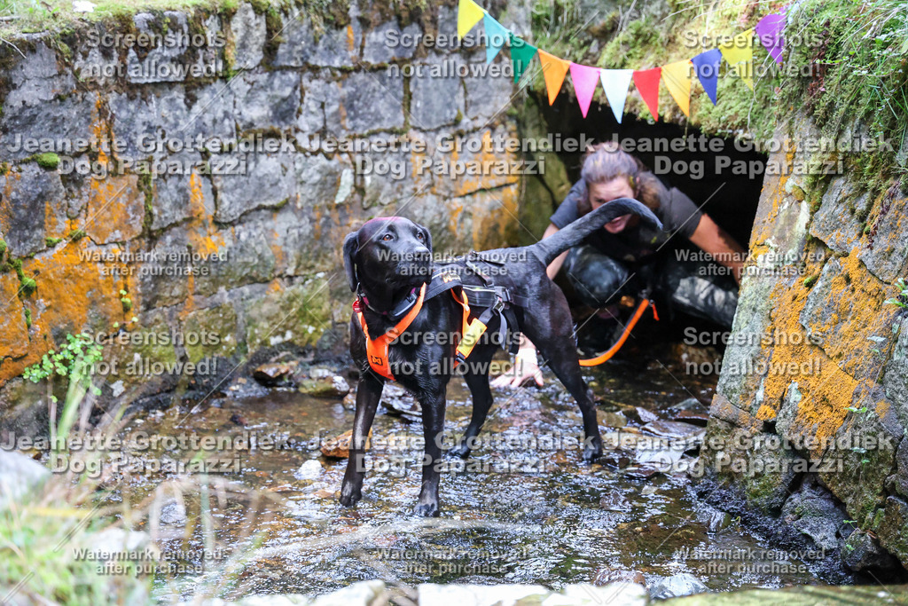 Dog Paparazzi -  TH 26-506 | Dog Paparazzi Jeanette Grottendiek Fotografie & Videografie - Realisiert mit Pictrs.com