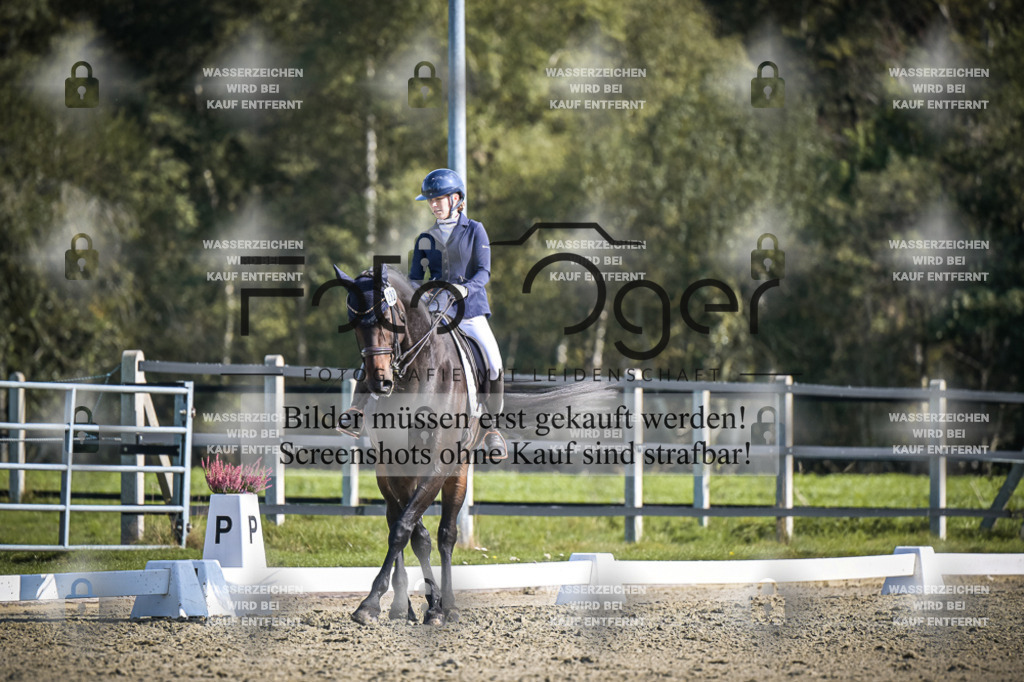 DOS_2695 | Entdecke hochwertige Reitturnierfotos von Foto Oger. Professionell, emotional und authentisch – jetzt Lieblingsmomente im Shop bestellen.Deutschlandweite Turnierfotografie. - Realisiert mit Pictrs.com
