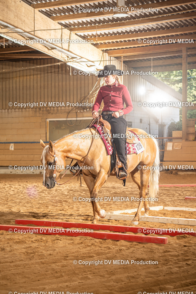 NID02700 | dv-media-shop - Realisiert mit Pictrs.com