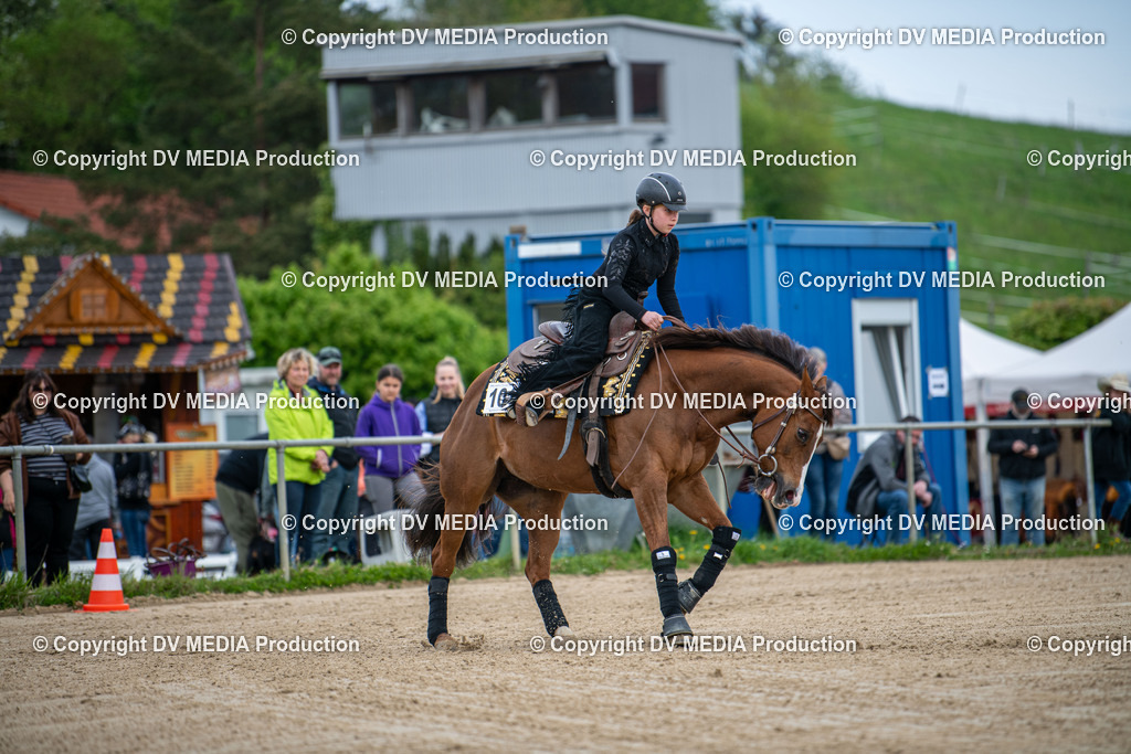 Heiligenwald Tag 2-2108 | dv-media-shop - Realisiert mit Pictrs.com