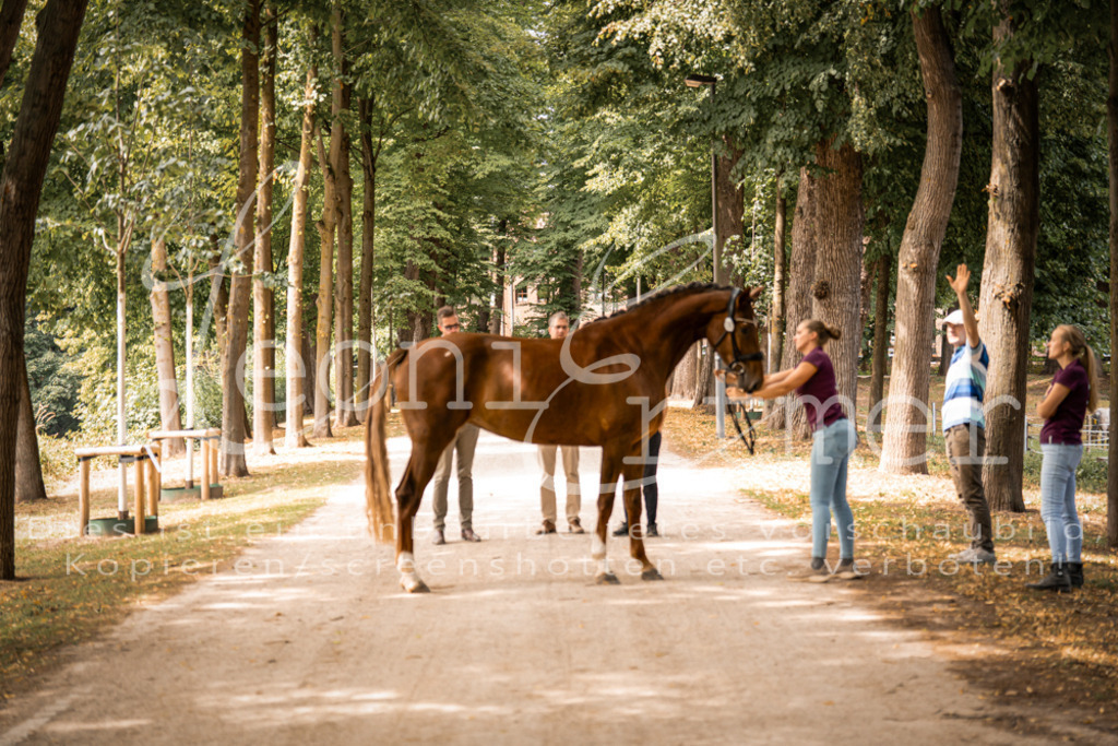 FrPfM00259 | Leoni Ertmer Photography - Realisiert mit Pictrs.com