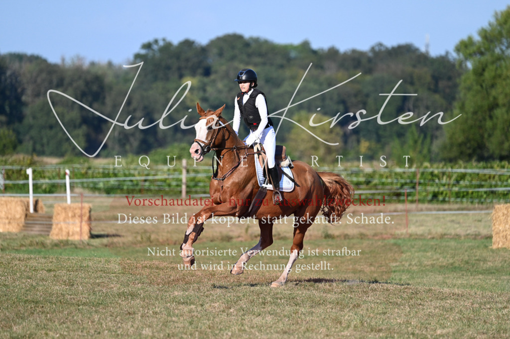 DSC_9137 | Pferde- und Turnierfotografie in Westsachsen. Pferdeportraits, Auftragszeichnungen und intuitive Kunst.