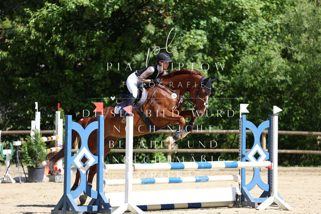 IMGS7177 | pl-fotografie