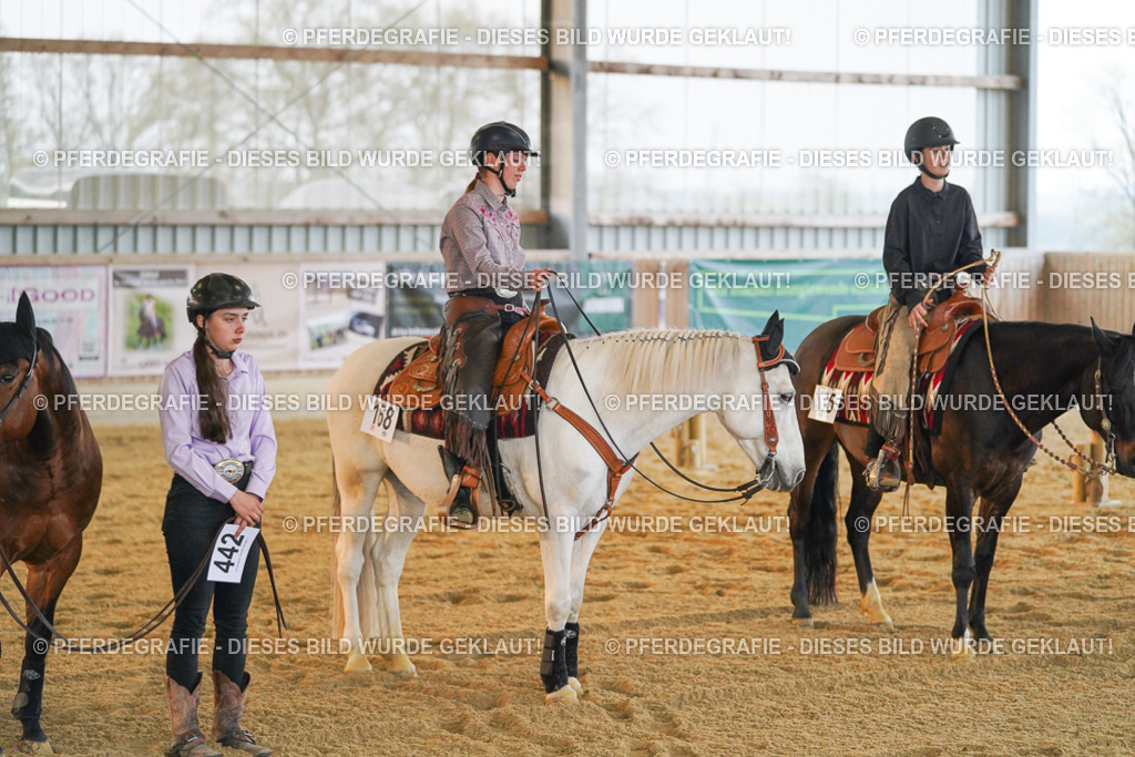 DSC08984 | Pferdegrafie