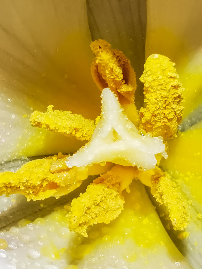 PSX_20230307_222541 | mtkfoto_ - Realisiert mit Pictrs.com