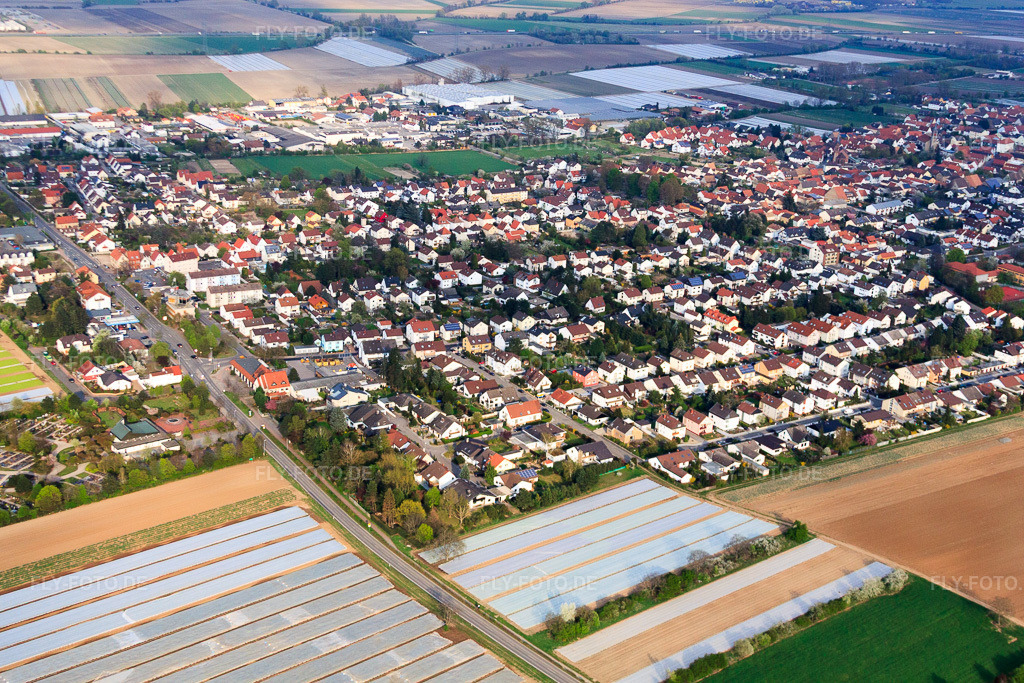 Luftbild: Ortsansicht von Nordwesten im Ortsteil Dannstadt in Dannstadt-Schauernheim im Bundesland Rheinland-Pfalz in Deutschland. Foto: IMG_49881.jpg vom 13.04.2012 durch Werner Riehm/FLY-FOTO.deAuflösung des Originals: 4752 x 3168 px