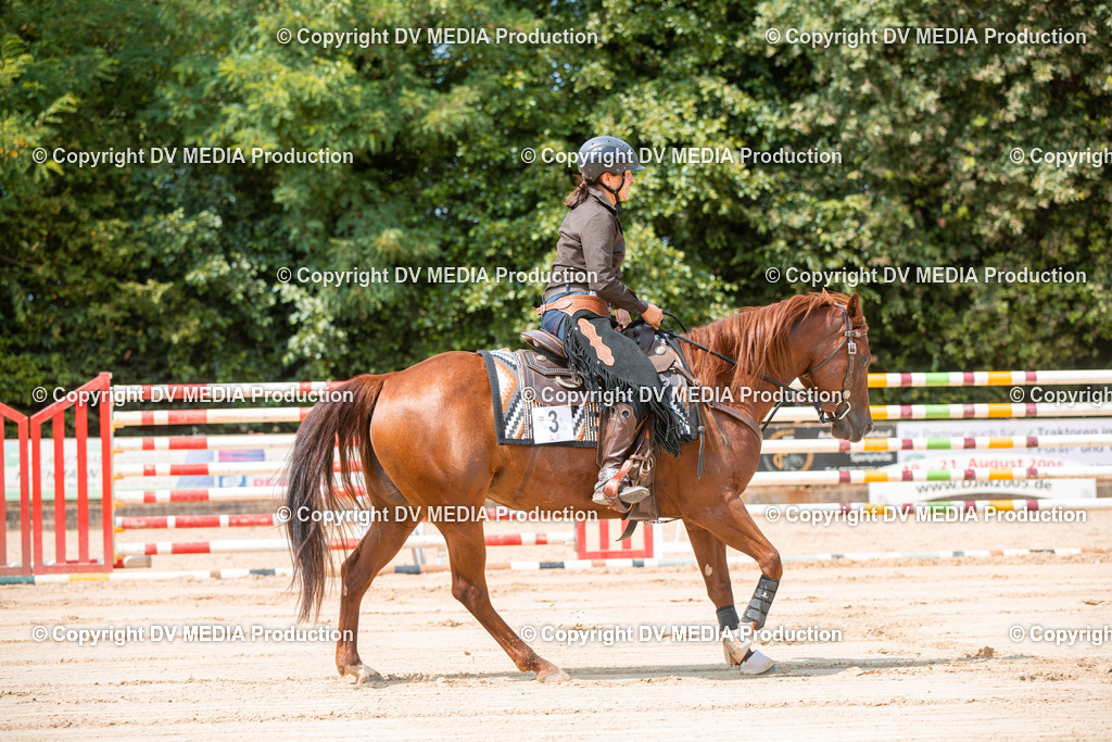 ZS2_8257 | dv-media-shop - Realisiert mit Pictrs.com