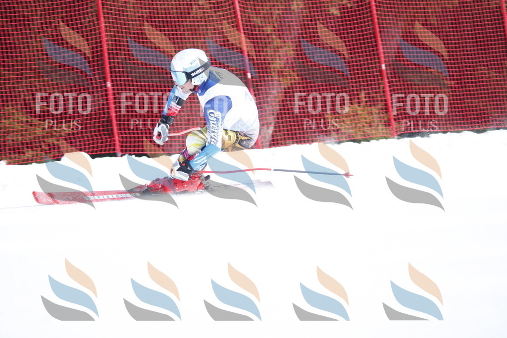 D6514 | holidayphoto