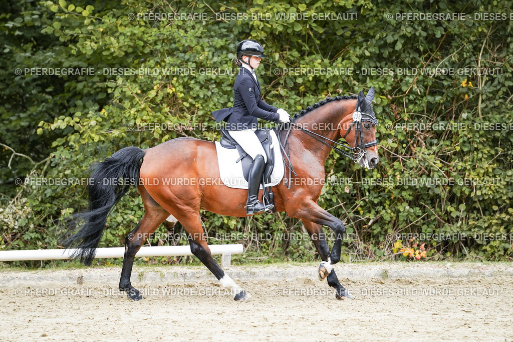 DSC07802 | Pferdegrafie