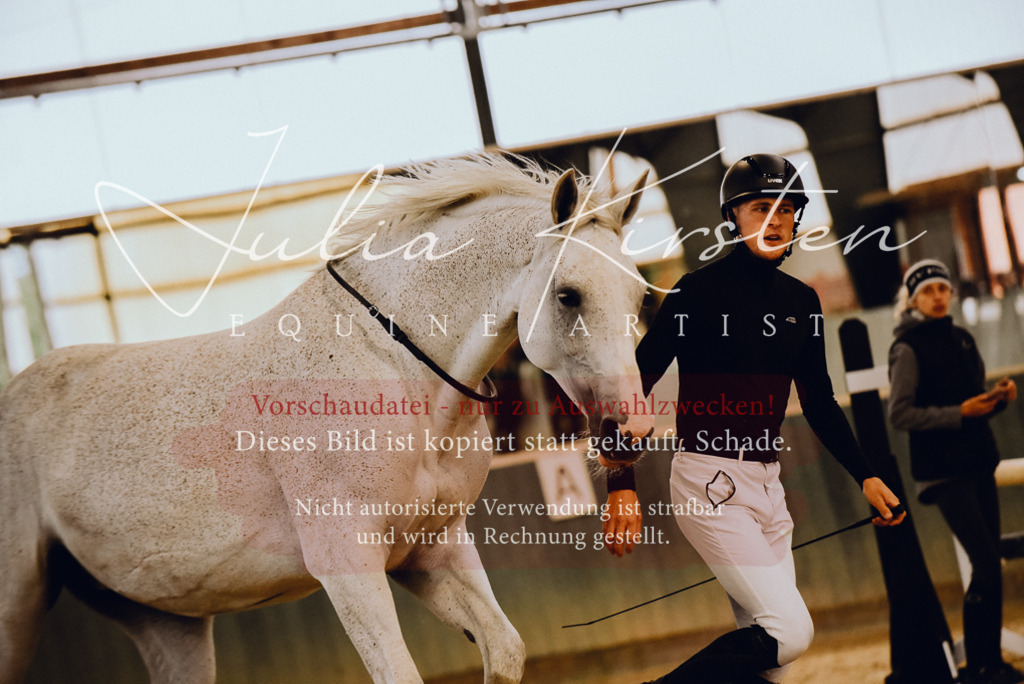 DSC_6959 | Pferde- und Turnierfotografie in Westsachsen. Pferdeportraits, Auftragszeichnungen und intuitive Kunst.