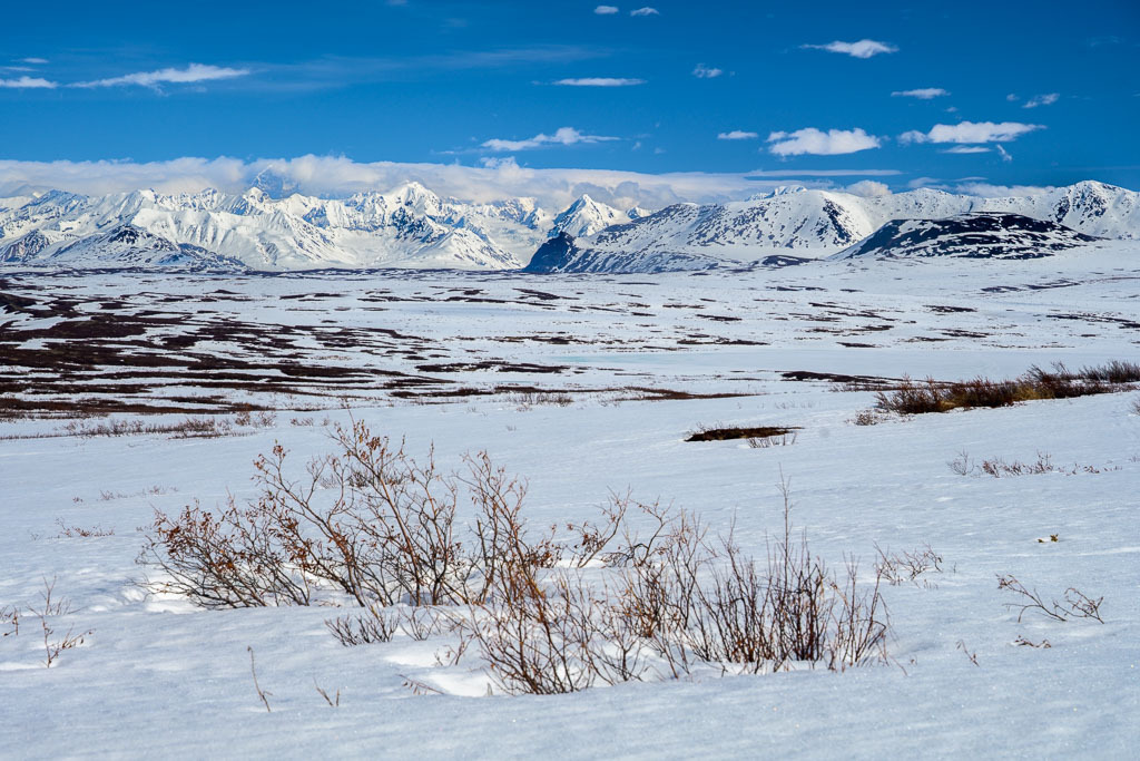 Alaska | Denali Highway - Realisiert mit Pictrs.com