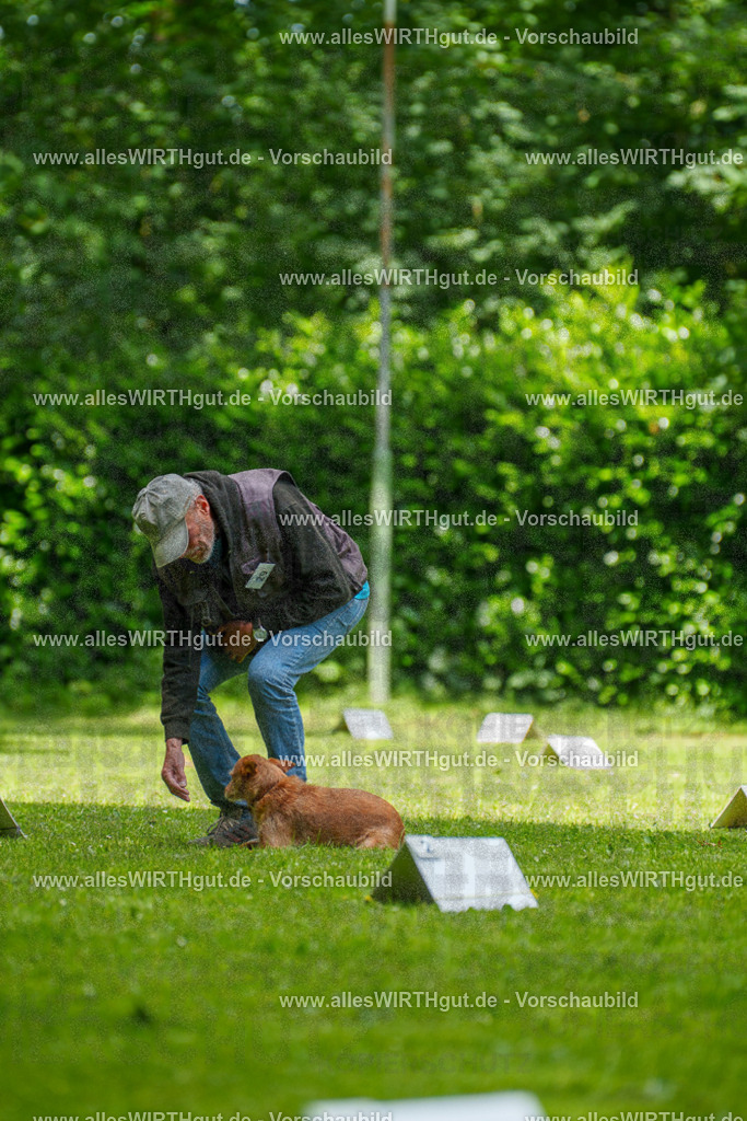 @allesWIRTHgut_Tierfotografie - www.allesWIRTHgut.de - 7R504171 | Professionelle Tierfotografie in Mönchengladbach von Daniel Wirth (allesWIRTHgut). Liebevolle & natürliche Bilder von Hunden & Katzen für unvergessliche Erinnerungen.