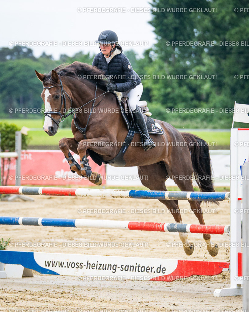 DSC04557 | Pferdegrafie