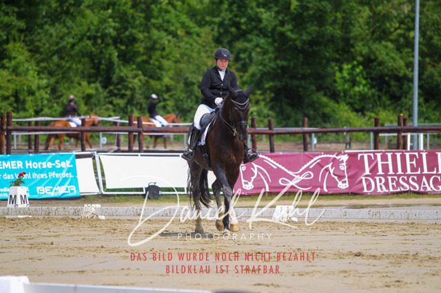 DKP40578 | Turniersportfotografie; Pferdefotografie; Dressurfotografie