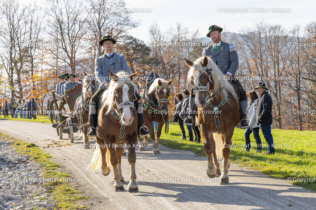LBT24-1341 | foto-bettina-krinner - Realisiert mit Pictrs.com
