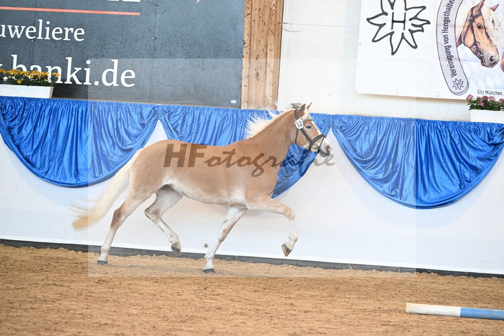 Bl. Band Kat-Nr. 12 Luna K v. Salto_Kerscher_48241185 | hf-fotografie - Realisiert mit Pictrs.com