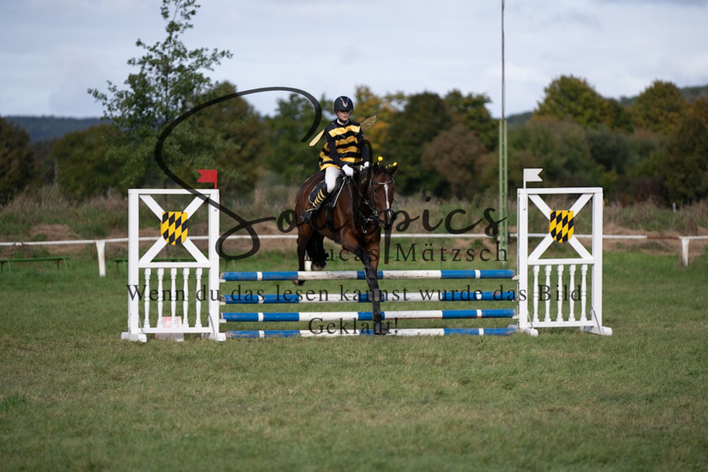 A7V06549 | Pferdefotograf