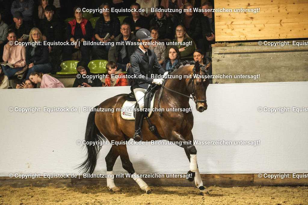 20240302_Hengstvorstellung_Marbach_TOMsPiC_1214 | equistock