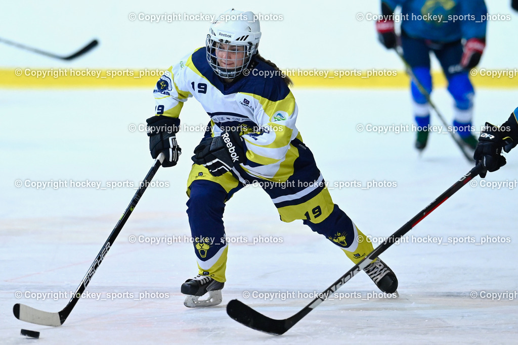BST_6514 | hockey sports photos, Pressefotos, Sportfotos, hockey247, win 2day icehockeyleague, Handball Austria, Floorball Austria, ÖVV, Kärntner Eishockeyverband, KEHV, KFV, Kärntner Fussballverband, Österreichischer Volleyballverband, Alps Hockey League, ÖFB, 