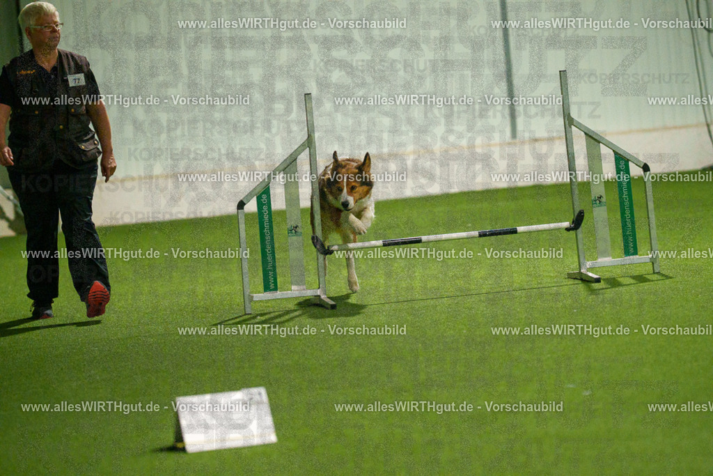 7R508820 | Professionelle Tierfotografie in Mönchengladbach von Daniel Wirth (allesWIRTHgut). Liebevolle & natürliche Bilder von Hunden & Katzen für unvergessliche Erinnerungen.